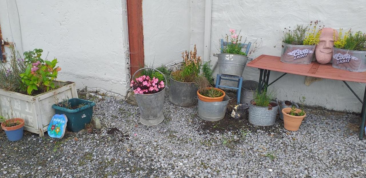 Murphy'S Irish Farmhouse Near Ballybunion Luaran gambar